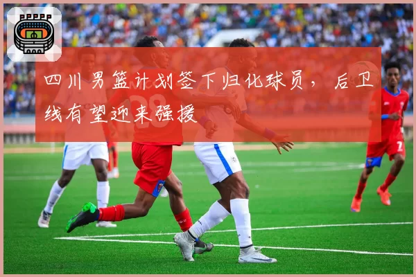 四川男篮计划签下归化球员，后卫线有望迎来强援