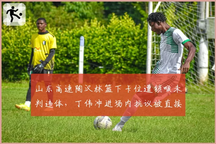 山东高速陶汉林篮下卡位遭锁喉未判违体，丁伟冲进场内抗议被直接驱逐